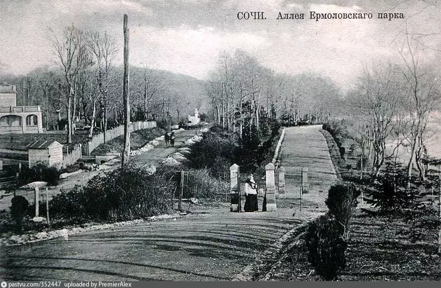 Аллея Ермоловского парка, 1913-1917 г.